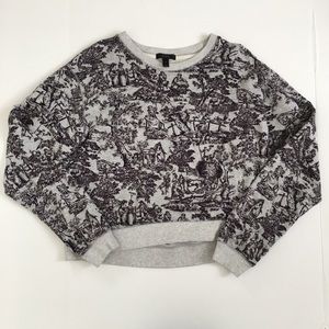 J. Crew toile sweatshirt
